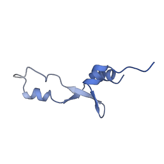 6922_5zet_6_v1-0
M. smegmatis P/P state 50S ribosomal subunit