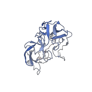 6922_5zet_C_v1-0
M. smegmatis P/P state 50S ribosomal subunit
