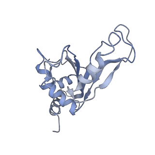 6922_5zet_F_v1-0
M. smegmatis P/P state 50S ribosomal subunit