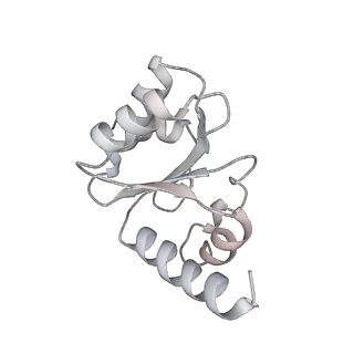 6922_5zet_I_v1-0
M. smegmatis P/P state 50S ribosomal subunit