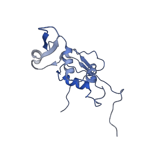 6922_5zet_K_v1-0
M. smegmatis P/P state 50S ribosomal subunit