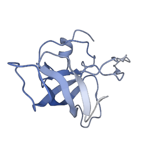 6922_5zet_L_v1-0
M. smegmatis P/P state 50S ribosomal subunit