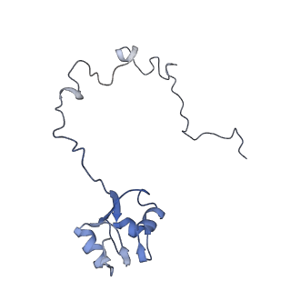 6922_5zet_M_v1-0
M. smegmatis P/P state 50S ribosomal subunit