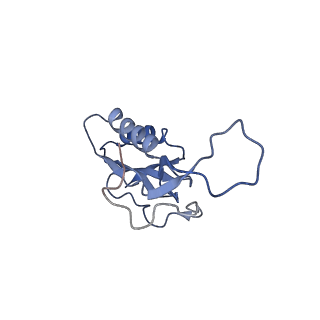 6922_5zet_N_v1-0
M. smegmatis P/P state 50S ribosomal subunit