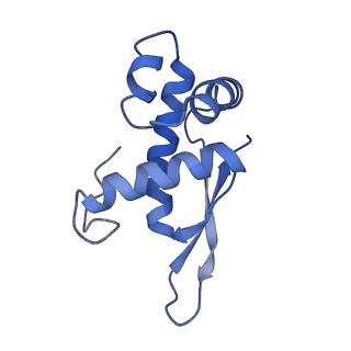 6922_5zet_O_v1-0
M. smegmatis P/P state 50S ribosomal subunit