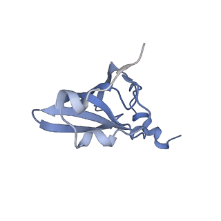 6922_5zet_Q_v1-0
M. smegmatis P/P state 50S ribosomal subunit
