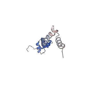 6922_5zet_R_v1-0
M. smegmatis P/P state 50S ribosomal subunit
