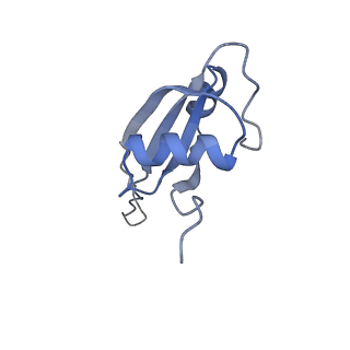 6922_5zet_U_v1-0
M. smegmatis P/P state 50S ribosomal subunit
