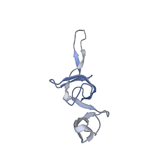 6922_5zet_V_v1-0
M. smegmatis P/P state 50S ribosomal subunit