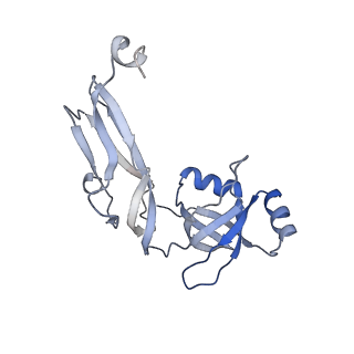 6922_5zet_W_v1-0
M. smegmatis P/P state 50S ribosomal subunit