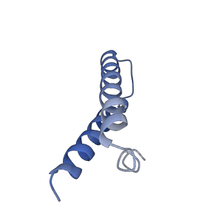 6922_5zet_Z_v1-0
M. smegmatis P/P state 50S ribosomal subunit