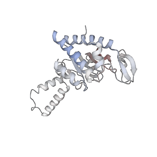 6923_5zeu_b_v1-1
M. smegmatis P/P state 30S ribosomal subunit