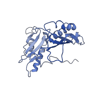 6923_5zeu_c_v1-1
M. smegmatis P/P state 30S ribosomal subunit