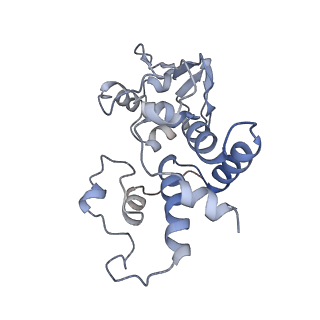 6923_5zeu_d_v1-1
M. smegmatis P/P state 30S ribosomal subunit