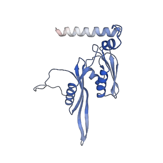 6923_5zeu_e_v1-1
M. smegmatis P/P state 30S ribosomal subunit