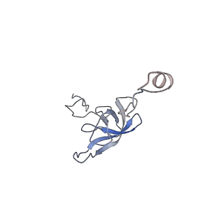 6923_5zeu_l_v1-1
M. smegmatis P/P state 30S ribosomal subunit