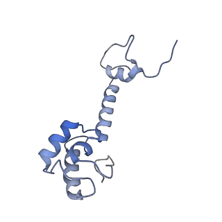 6923_5zeu_m_v1-1
M. smegmatis P/P state 30S ribosomal subunit