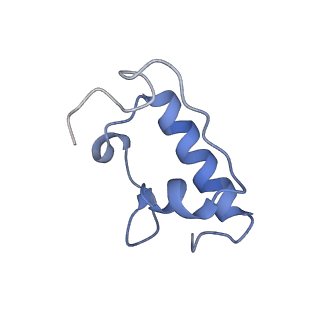 6923_5zeu_r_v1-1
M. smegmatis P/P state 30S ribosomal subunit