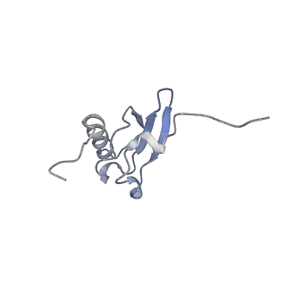 6923_5zeu_s_v1-1
M. smegmatis P/P state 30S ribosomal subunit