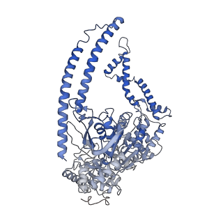11105_6zfb_H_v1-1
Structure of the B. subtilis RNA POLYMERASE in complex with HelD (dimer)