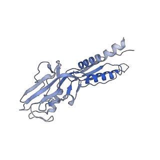 11105_6zfb_V_v1-1
Structure of the B. subtilis RNA POLYMERASE in complex with HelD (dimer)