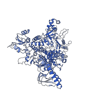 11105_6zfb_Y_v1-1
Structure of the B. subtilis RNA POLYMERASE in complex with HelD (dimer)