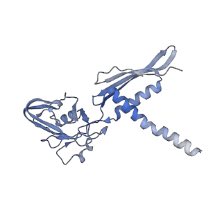 11105_6zfb_u_v1-1
Structure of the B. subtilis RNA POLYMERASE in complex with HelD (dimer)