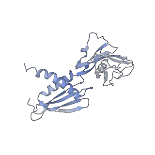 11105_6zfb_v_v1-1
Structure of the B. subtilis RNA POLYMERASE in complex with HelD (dimer)