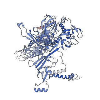 11105_6zfb_x_v1-1
Structure of the B. subtilis RNA POLYMERASE in complex with HelD (dimer)