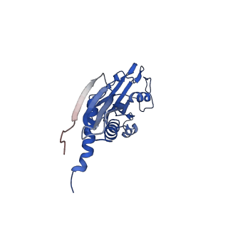14696_7zf2_A_v1-2
Protomeric substructure from an octameric assembly of M. tuberculosis RNA polymerase in complex with sigma-b initiation factor