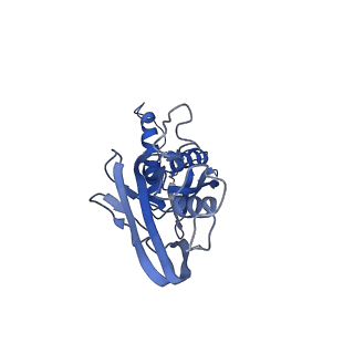 14696_7zf2_B_v1-1
Protomeric substructure from an octameric assembly of M. tuberculosis RNA polymerase in complex with sigma-b initiation factor