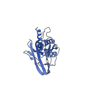 14696_7zf2_B_v1-2
Protomeric substructure from an octameric assembly of M. tuberculosis RNA polymerase in complex with sigma-b initiation factor