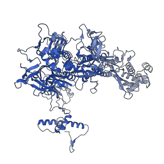 14696_7zf2_C_v1-1
Protomeric substructure from an octameric assembly of M. tuberculosis RNA polymerase in complex with sigma-b initiation factor