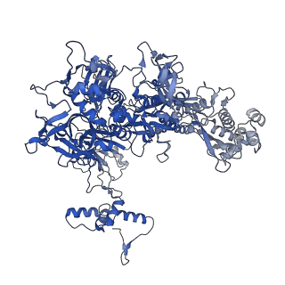 14696_7zf2_C_v1-2
Protomeric substructure from an octameric assembly of M. tuberculosis RNA polymerase in complex with sigma-b initiation factor