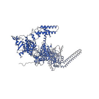 14696_7zf2_D_v1-1
Protomeric substructure from an octameric assembly of M. tuberculosis RNA polymerase in complex with sigma-b initiation factor