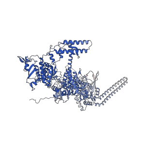 14696_7zf2_D_v1-2
Protomeric substructure from an octameric assembly of M. tuberculosis RNA polymerase in complex with sigma-b initiation factor