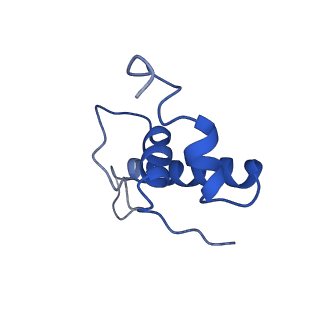 14696_7zf2_E_v1-1
Protomeric substructure from an octameric assembly of M. tuberculosis RNA polymerase in complex with sigma-b initiation factor