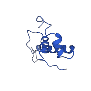 14696_7zf2_E_v1-2
Protomeric substructure from an octameric assembly of M. tuberculosis RNA polymerase in complex with sigma-b initiation factor