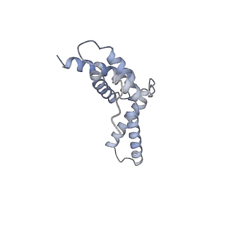 14696_7zf2_F_v1-1
Protomeric substructure from an octameric assembly of M. tuberculosis RNA polymerase in complex with sigma-b initiation factor