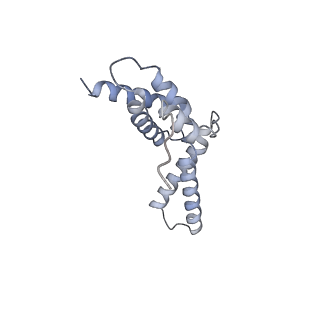 14696_7zf2_F_v1-2
Protomeric substructure from an octameric assembly of M. tuberculosis RNA polymerase in complex with sigma-b initiation factor