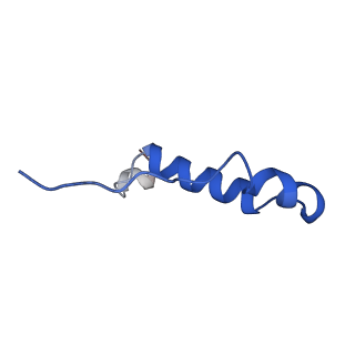 11195_6zg7_I_v1-2
bovine ATP synthase rotor domain, state 1