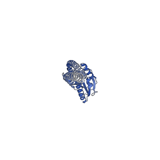 11196_6zg8_G_v1-2
bovine ATP synthase rotor domain state 2