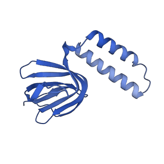 11196_6zg8_H_v1-2
bovine ATP synthase rotor domain state 2