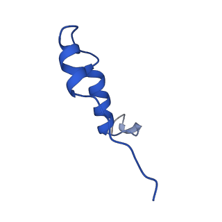 11196_6zg8_I_v1-2
bovine ATP synthase rotor domain state 2