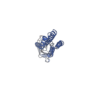 11202_6zgd_A_v1-1
GLIC pentameric ligand-gated ion channel, pH 7