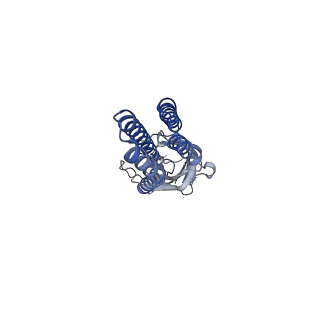 11202_6zgd_B_v1-1
GLIC pentameric ligand-gated ion channel, pH 7