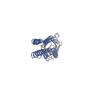 11202_6zgd_C_v1-1
GLIC pentameric ligand-gated ion channel, pH 7