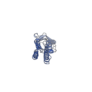 11202_6zgd_D_v1-1
GLIC pentameric ligand-gated ion channel, pH 7