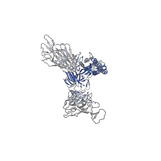 11205_6zgg_B_v1-1
Furin Cleaved Spike Protein of SARS-CoV-2 with One RBD Erect