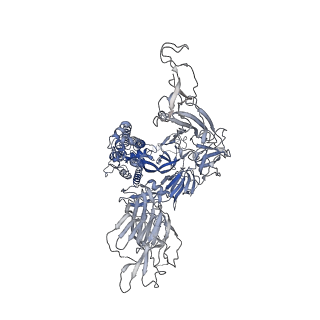 11205_6zgg_C_v1-1
Furin Cleaved Spike Protein of SARS-CoV-2 with One RBD Erect